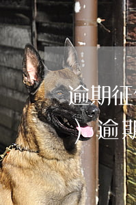 逾期征信房子抵押貸款嗎(征信有過(guò)逾期、可以去銀行房子抵押貸款嗎)